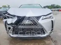 2020 Lexus Other фото