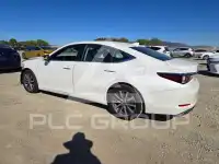 2020 Lexus ES350 photo