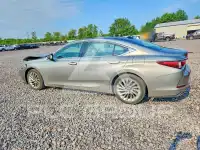 2020 Lexus ES350 фото