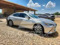 2020 Lexus ES photo