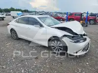 2020 Lexus ES350 photo