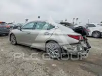 2020 Lexus ES350 фото