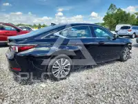 2020 Lexus ES350 photo