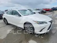 2020 Lexus ES350 фото