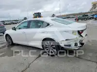 2020 Lexus ES350 фото
