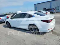 2020 Lexus ES350 фото