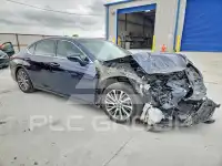 2020 Lexus ES фото