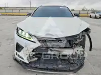 2020 Lexus RX фото