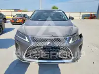 2020 Lexus RX350 фото