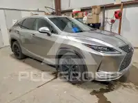 2020 Lexus RX350 photo