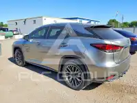 2020 Lexus RX350 фото