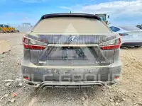 2020 Lexus RX350 photo