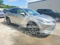 2020 Lexus RX фото
