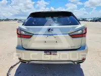 2020 Lexus RX350 фото