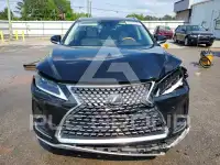 2020 Lexus RX фото