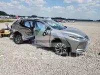 2020 Lexus RX350 фото