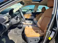 2020 Lexus IS photo