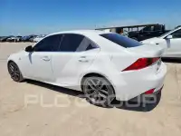2020 Lexus IS photo
