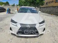 2020 Lexus IS photo