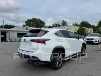 2020 Lexus NX photo