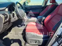 2020 Lexus NX фото