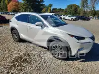 2020 Lexus NX фото