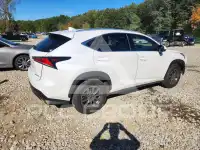 2020 Lexus NX фото