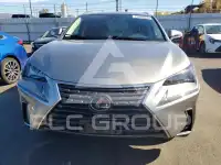 2020 Lexus NX фото
