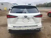 2020 Lexus NX photo