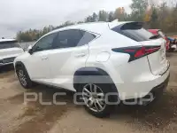 2020 Lexus NX photo