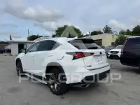 2020 Lexus NX photo