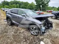 2020 Lexus NX photo