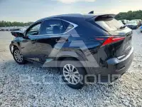 2020 Lexus NX photo