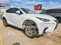2020 Lexus NX photo