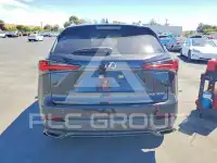 2020 Lexus NX фото