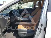 2020 Lexus NX фото