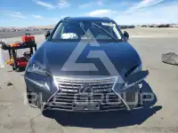 2020 Lexus NX фото