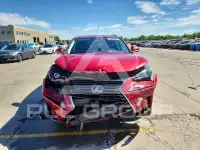 2020 Lexus NX фото