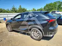 2020 Lexus NX фото