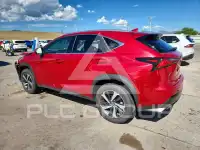 2020 Lexus NX фото