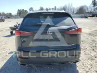 2020 Lexus NX photo