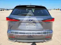 2020 Lexus NX фото