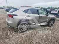 2020 Lexus NX фото