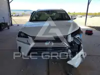 2020 Lexus NX фото