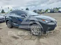 2020 Lexus NX фото