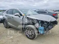 2020 Lexus NX фото