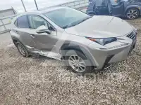 2020 Lexus NX фото