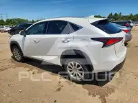 2020 Lexus NX photo
