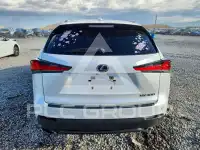 2020 Lexus NX фото