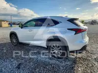 2020 Lexus NX фото